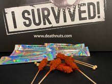 Load image into Gallery viewer, Diablo's Pacifier Challenge